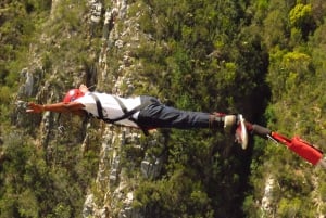Plettenberg Bay: Bungee Jumping med Zipline og Sky Walk