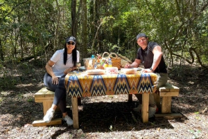 Plettenberg Bay : Promenade guidée dans la forêt et visite de la faune