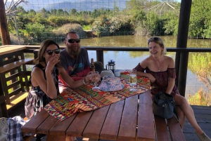 Plettenberg Bay : Promenade guidée dans la forêt et visite de la faune