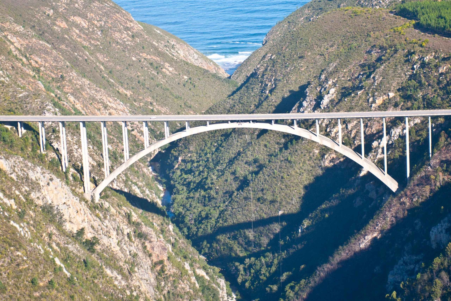 Plettenberg Bay: hyppy/vinssaus ja Skywalk-kierros