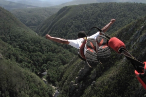 Plettenberg Bay: hyppy/vinssaus ja Skywalk-kierros