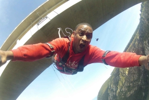 Plettenberg Bay: hyppy/vinssaus ja Skywalk-kierros