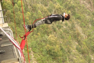 Plettenberg Bay: hyppy/vinssaus ja Skywalk-kierros