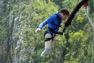 Plettenberg Bay: hyppy/vinssaus ja Skywalk-kierros