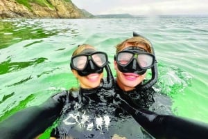 Plettenberg Bay: Zwemmen met zeehonden
