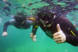 Plettenberg Bay: Nadar com as focas