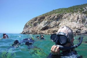 Bahía de Plettenberg: Nada con las focas