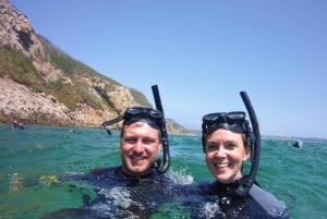 Plettenberg Bay: Svøm med sælerne