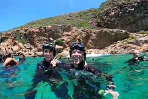 Zatoka Plettenberg: Pływaj z fokami