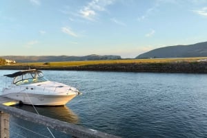 Port Elizabeth: 11 giorni di safari e tour culturale a Joburg