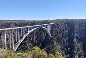 Port Elizabeth: 11 päivän safari- ja kulttuurimatka Joburgiin