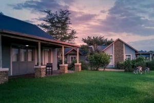 Port Elizabeth: 3-dages Garden Route via Addo Elephant Park
