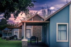 Port Elizabeth: 3-dages Garden Route via Addo Elephant Park