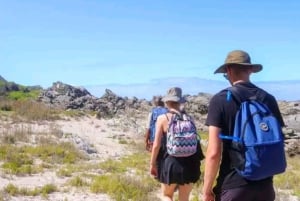 Port Elizabeth: 3-dages Garden Route via Addo Elephant Park