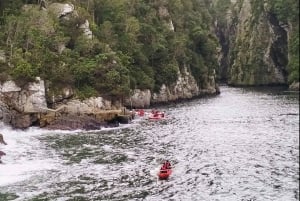 Porto Elizabeth: Parque Nacional Tsitsikama - dia inteiro