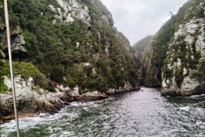 Porto Elizabeth: Parque Nacional Tsitsikama - dia inteiro