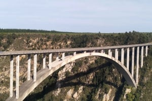 Porto Elizabeth: Parque Nacional Tsitsikama - dia inteiro