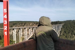 Porto Elizabeth: Parque Nacional Tsitsikama - dia inteiro