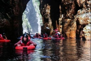 Porto Elizabeth: Parque Nacional Tsitsikama - dia inteiro