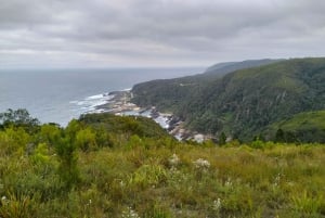 Porto Elizabeth: Parque Nacional Tsitsikama - dia inteiro
