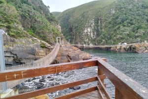 Porto Elizabeth: Parque Nacional Tsitsikama - dia inteiro