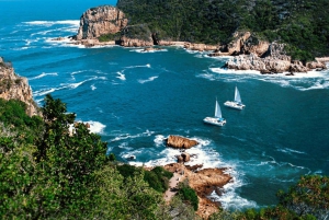 Частный Кейптаун и Великолепие Garden Route