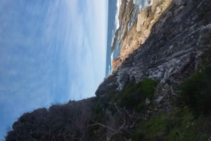 Prywatna wycieczka 1-dniowa z przewodnikiem po rezerwacie przyrody Storms River