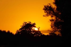 Prywatna wycieczka 1-dniowa z przewodnikiem po rezerwacie przyrody Storms River