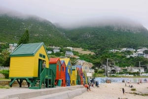 South Africa: Exploring the tip of Africa 14Day Guided Tour