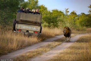 África do Sul: Itinerário, transporte e hotéis