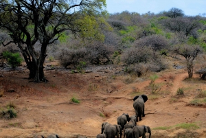 Sydafrika: Skræddersyede ture og eventyr med We Do Tours