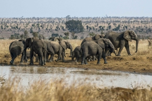 Südafrika zum Krüger-Nationalpark Abenteuer