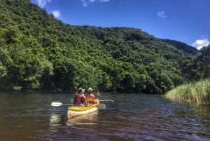 South Africa's Garden Route: 4-Day Adventure Tour