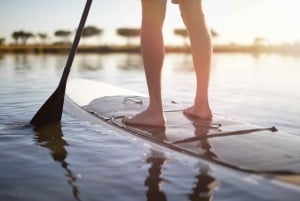 TUINROUTE: STAND UP PADDLE BOARDING VERHUUR IN SEDGEFIELD