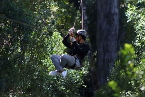 Storms River: Tsitsikamma National Park Zipline Canopy Tour