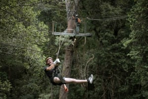 Storms River: Tsitsikamma National Park Zipline Canopy Tour