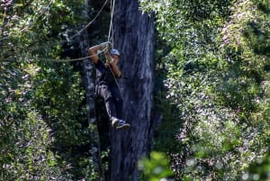 Storms River: Tsitsikamma National Park Zipline Canopy Tour