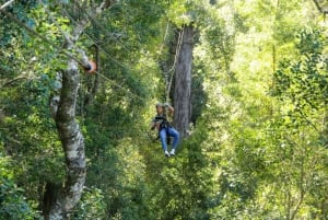 Storms River: Tsitsikamma National Park Zipline Canopy Tour