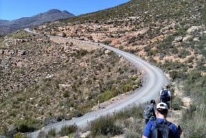Swartberg: Halvdags vandringseventyr