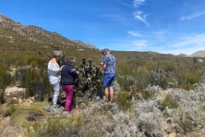 Swartberg: Halvdags vandringseventyr