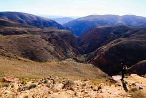 Swartberg: Halv dag med Swartberg Pass og privat guidet tur