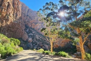 Swartberg: Half Day Swartberg Pass and Private Guided Tour