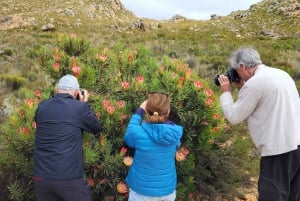 Swartberg: Half Day Swartberg Pass and Private Guided Tour