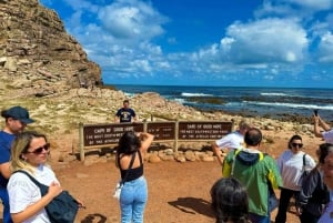 Table Mountain, Cape of Good Hope & Penguins incl. Park Fees