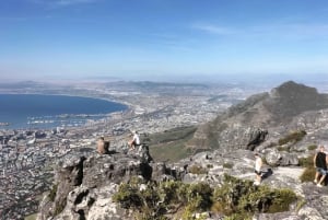 Table Mountain, Cape of Good Hope & Penguins incl. Park Fees