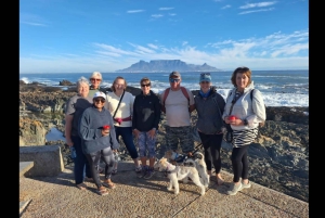 Table Mountain: Guided Hike Tour