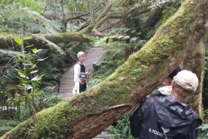 The Knysna Experience Tour