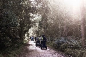 Tsitsikamma nationalpark: 1 eller 2 timmars segwaytur