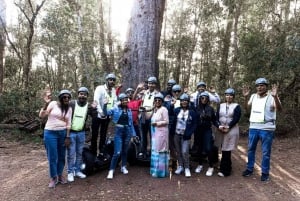 Tsitsikamma-Nationalpark: 1- oder 2-stündige Segwaytour
