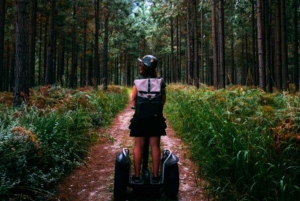 Tsitsikamma: Säla äventyrsdagstur